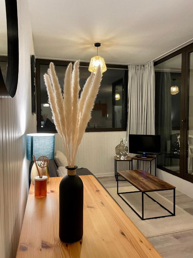 Appartement Au Coeur De La Station De Super-Besse Luaran gambar